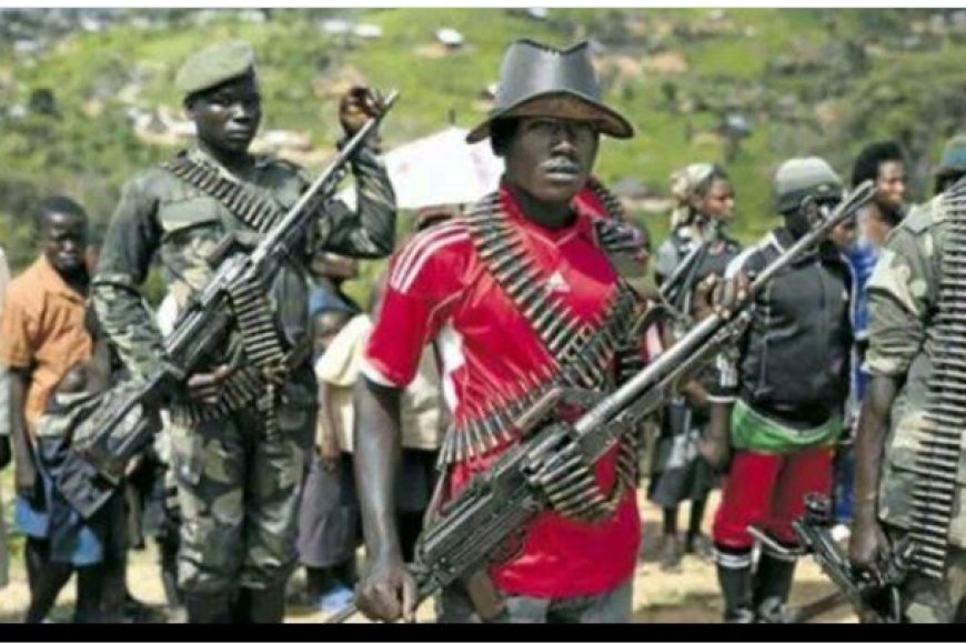 Havuzwe andi makuru mashya ku barwanyi bashaka kuvanaho ubutegetsi bwa perezida Tshisekedi, bahereye i Kinshasa ku murwa mukuru w’iki gihugu.