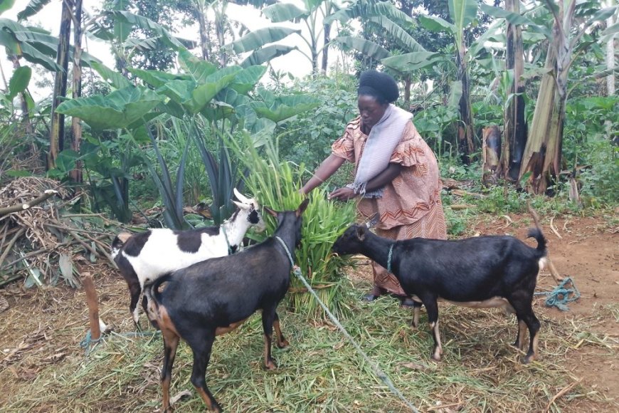 Abaturage bo mu karere ka Rwamagana bahoze mu bukene bukabije, bagaragaje ibanga ryatumye babwivanamo ku bufasha bwa VUP
