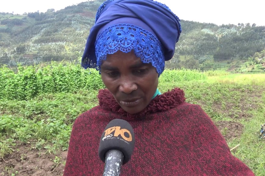 Musanze: Nyuma y'igihe kinina abahinzi barira ayo kwarika bagejejweho inkuru yumvikanamo ko bagiye guhozwa amarira