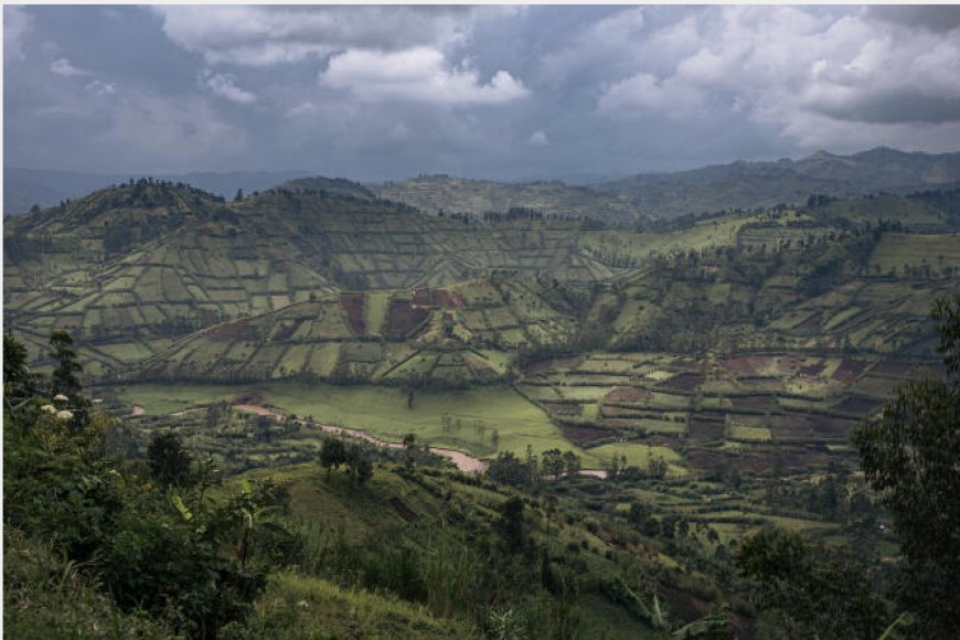 Ihuriro ry’ingabo za Repubulika ya demokarasi ya Congoryakubitiwe ahareba inzega, mu mirwano yarihuje na M23
