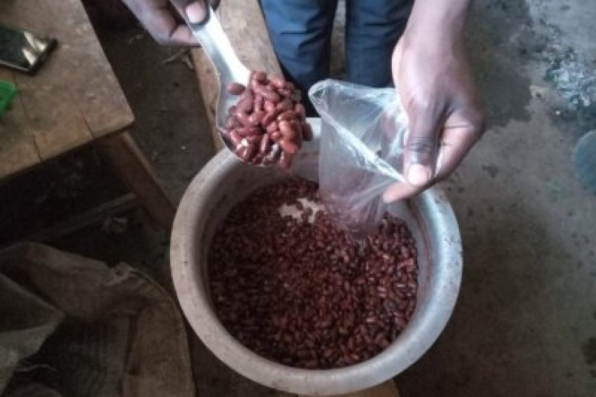 RSB: Dore Ibyo Abacuruza ibishyimbo bitetse bakwiye kwitaho cyane