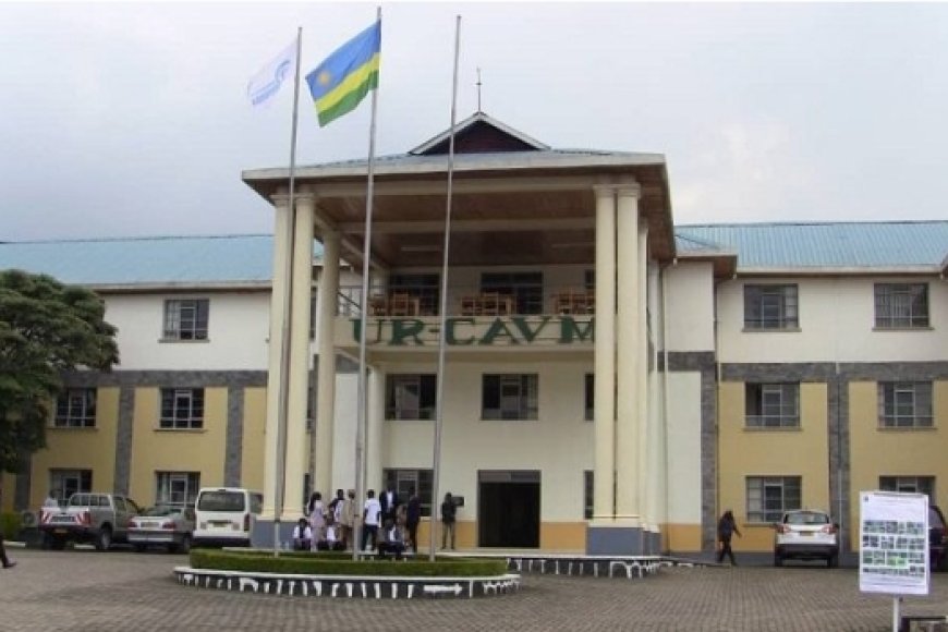 Musanze: Mu bwiherero bwa Kaminuza y’u Rwanda ishami rya Busogo UR CAVM  hatoraguwe umurambo w’uruhinja rwari rumaze amasaha macye ruvutse