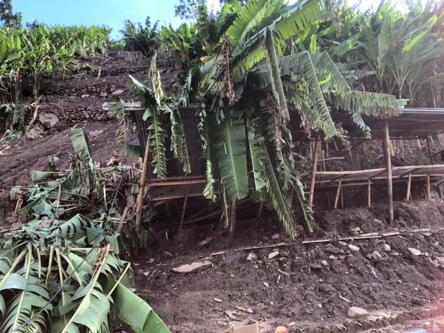 Biradusaba kuba maso; hagati ya tariki 30 Mata na tariki 4 Gicurasi 2024 hateganyijwe  imvura nyinshi ivanze n'Inkuba!