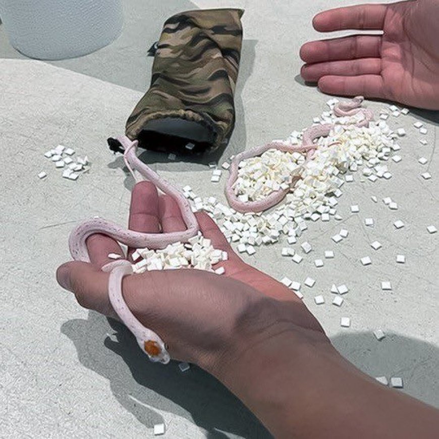 Umugenzi yasanganywe inzoka nzima zari mu ipantaro ye[AMAFOTO]