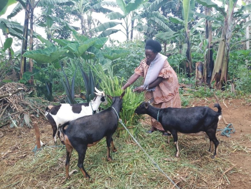 Abaturage bo mu karere ka Rwamagana bahoze mu bukene bukabije, bagaragaje ibanga ryatumye babwivanamo ku bufasha bwa VUP