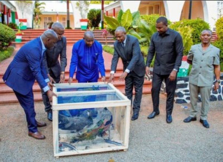 Perezida wa Tanzania Samia Suluhu Hassan yahaye impano y’inyoni mugenzi we Perezida Ndayihimiye w'u Burundi