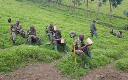 Amakuru mashya y’ibiri kubera i Kanyabayonga nyuma y’inkundura y’imirwano ikaze yahabereye ejo ku Cyumweru hagati ya M23, FARDC n'abambari bayo