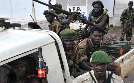 Haribazwa icyo Inyeshyamba zo muri Centrafrique zisutse muri RDC ku bwinshi zaje gukora