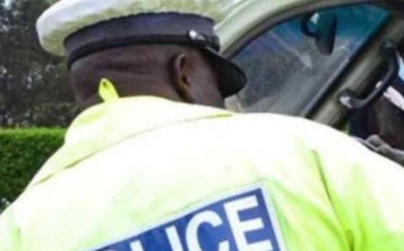 Umushoferi yakubise Umupolisi wo mu muhanda hafi kumumaramo umwuka, bakizwa n’abaturage