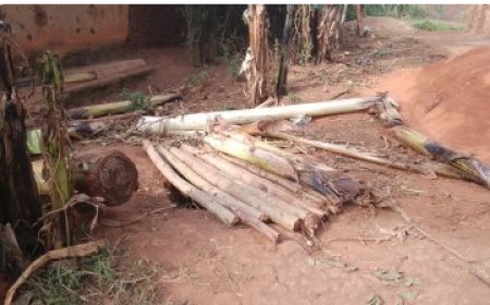 Rwamagana: Uwari uhetse umwana yaguye mu cyobo ugiye kubatabara nawe birangira aguyemo