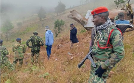 Malawi: Abashakashatsi babonye ibisigazwa by’indege yari itwaye visi perezida reba amafoto