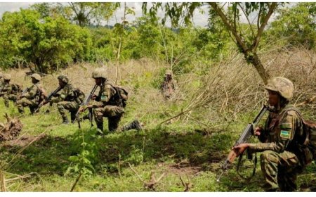 Ingabo z’u Rwanda zivuganye ibyihebe 70 mu byagabye igitero aho zigenzura