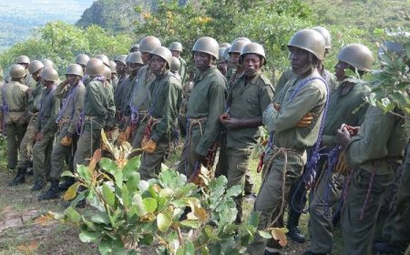 Amakuru mashya y’ingabo z’u Burundi na FDLR zavuzwe mu Rugezi ho mu misozi miremire y’Imulenge, mu Ntara ya Kivu y’Epfo, menya ibyazo