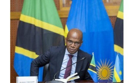Tanzania: Minisitiri Makamba yavuganye na Nduhungirehe wahawe inshingano nshya