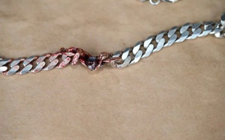 Habuze gato ngo apfe!: Umugabo yarokotse isasu akingiwe n’umukufi yari yambaye mu ijosi