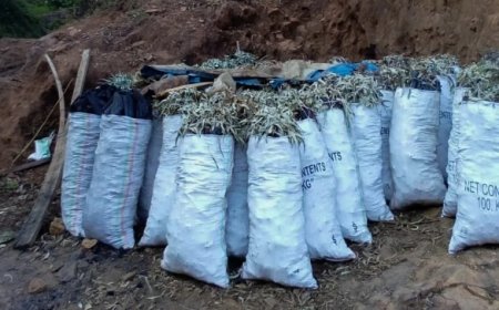 Polisi Yataye Muri yombi abigabije ishyamba rya Pariki y’Igihugu bakarikoreramo ibyo batemerewe