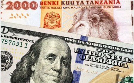 Leta ya Tanzaniya yakoze ibidasanzwe ica amadorari wakibaza uti byagenze gute?