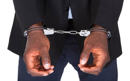 Umunyeshuri wiga muri Kaminuza  ari mumazi abira nyuma yo kwiba inkende 31 ndetse n’inzoka 7 z’ubumara