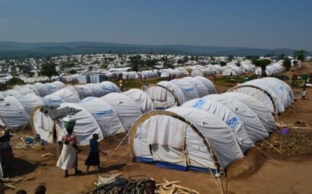 Dore impamvu Impunzi zo mu Rwanda ziri kubyinira ku rukoma