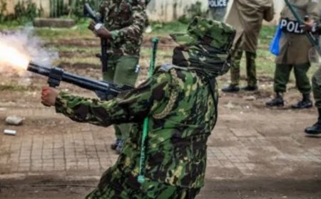 Abantu bagera kuri 200 nibo bamaze gukomereka bikabije mu gihe 100 bamaze gutabwa muri yombi