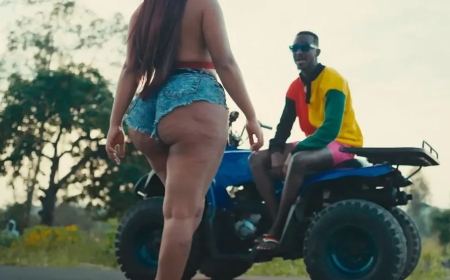 Imyidagaduro: Ngibi ibyo mutamenye kuri bombori bombori yabahoze bari mu munyenga w'urukundo