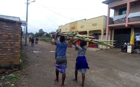 Musanze: wowe mubyeyi ugishora abana mu mirimo ibujijwe ugamije indonke z’amafaranga dore akaga ugiye guhura nako