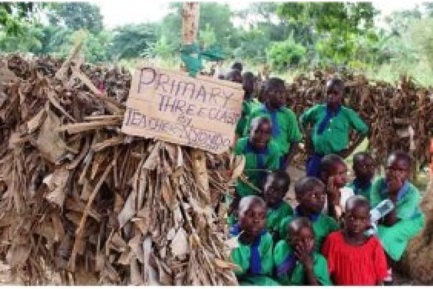 Umuyobozi w’akarere yatunguwe n’abanyeshuri bigira mu ishuri ryubakishije amashara y’insina