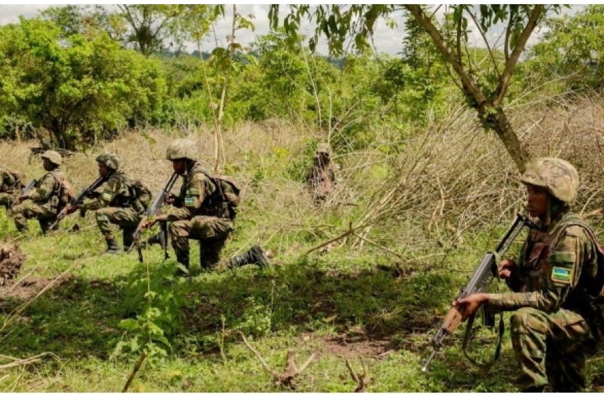 Ingabo z’u Rwanda zivuganye ibyihebe 70 mu byagabye igitero aho zigenzura