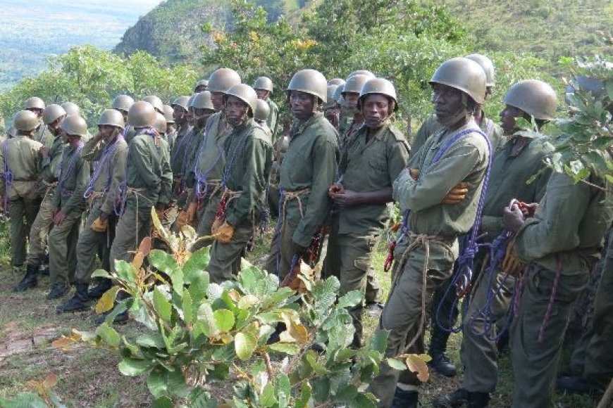 Amakuru mashya y’ingabo z’u Burundi na FDLR zavuzwe mu Rugezi ho mu misozi miremire y’Imulenge, mu Ntara ya Kivu y’Epfo, menya ibyazo
