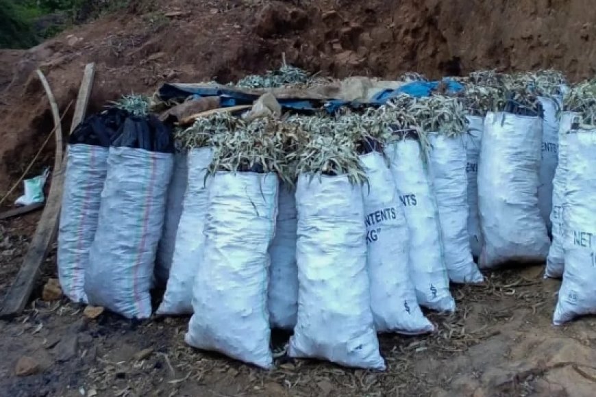 Polisi Yataye Muri yombi abigabije ishyamba rya Pariki y’Igihugu bakarikoreramo ibyo batemerewe