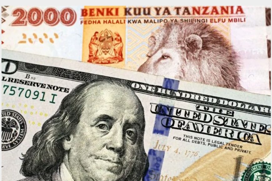 Leta ya Tanzaniya yakoze ibidasanzwe ica amadorari wakibaza uti byagenze gute?