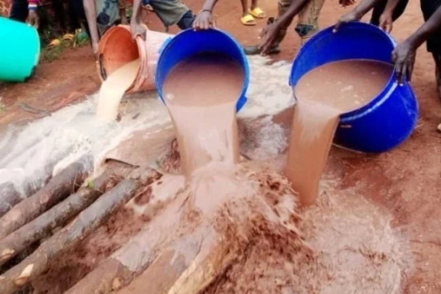 Musanze: Ndagijimana Callixte yafatanywe litiro zireka  2000 z’inzoga bita ‘Nzoga ejo’ ituma abayinyweye bakora iberenze iby' abasazi