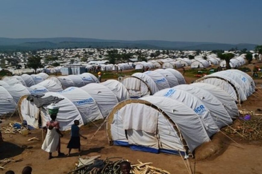 Dore impamvu Impunzi zo mu Rwanda ziri kubyinira ku rukoma