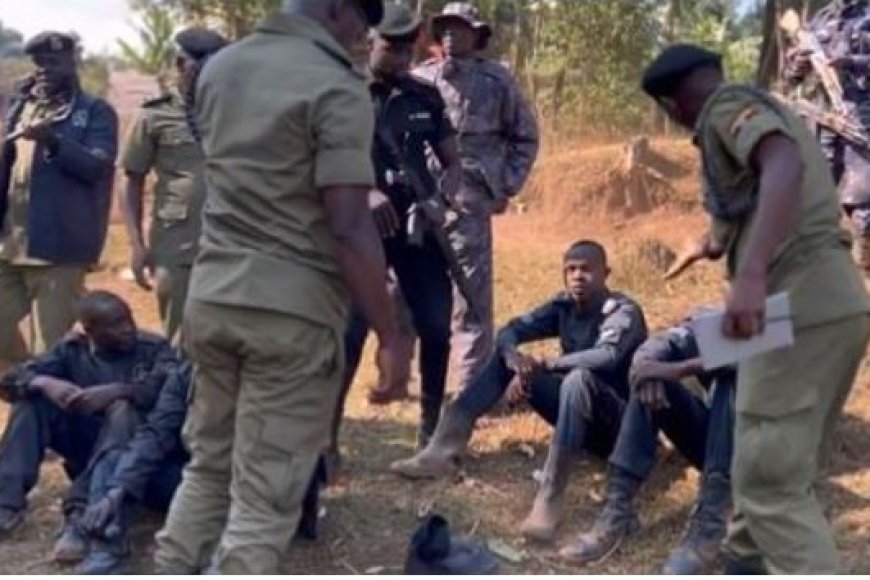 Abasekirite barashe Minisitiri Nyamutoro Phiona akaba n'umugore wa Eddy Kenzo bitabye urukiko