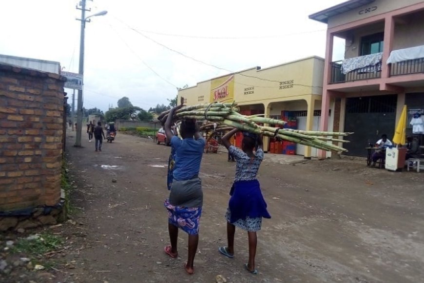 Musanze: wowe mubyeyi ugishora abana mu mirimo ibujijwe ugamije indonke z’amafaranga dore akaga ugiye guhura nako