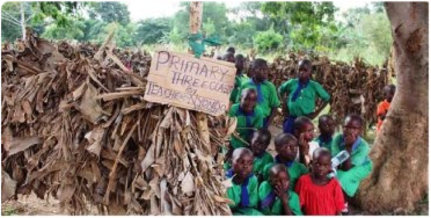 Umuyobozi w’akarere yatunguwe n’abanyeshuri bigira mu ishuri ryubakishije amashara y’insina