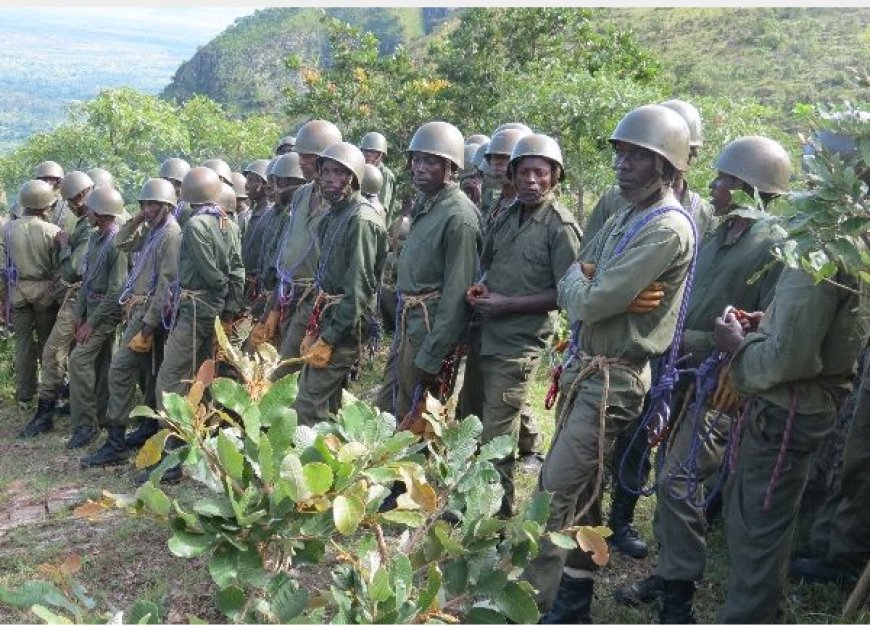 Amakuru mashya y’ingabo z’u Burundi na FDLR zavuzwe mu Rugezi ho mu misozi miremire y’Imulenge, mu Ntara ya Kivu y’Epfo, menya ibyazo