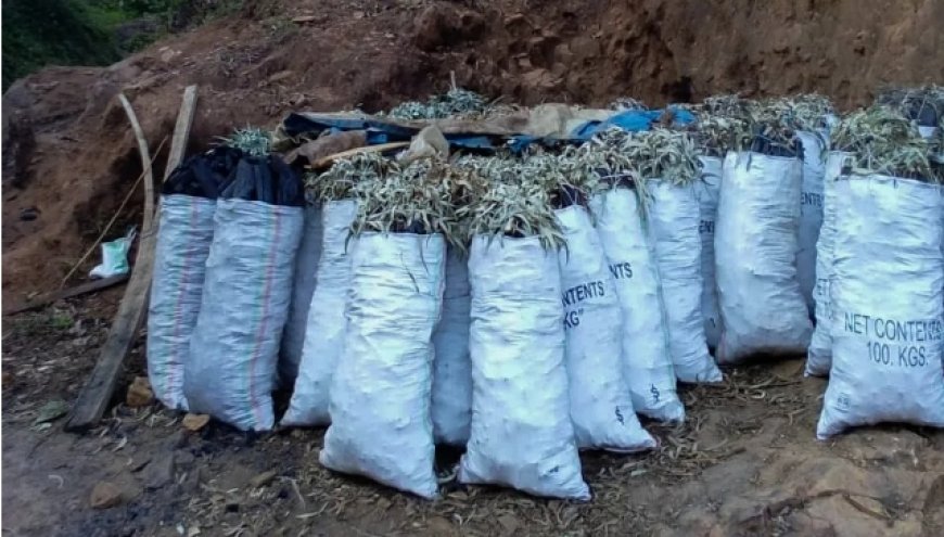 Polisi Yataye Muri yombi abigabije ishyamba rya Pariki y’Igihugu bakarikoreramo ibyo batemerewe