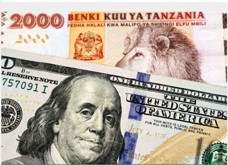 Leta ya Tanzaniya yakoze ibidasanzwe ica amadorari wakibaza uti byagenze gute?