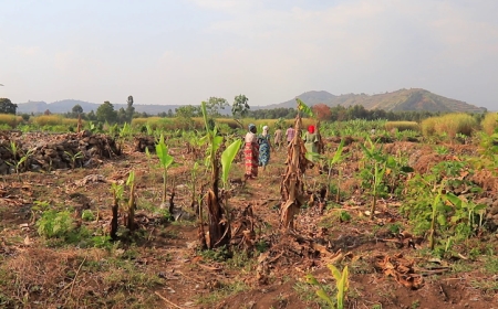Abatuye mu karere ka Rubavu barinunira ibikorwa by’urugomo rukabije bakorerwa