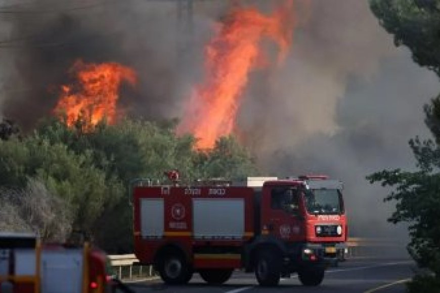 Ibisasu byinshi biravuza ubuhuha muri Israel
