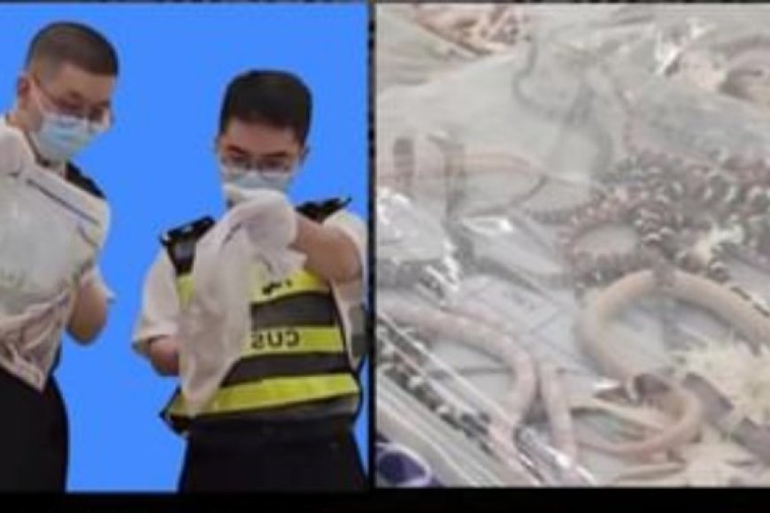 Umugabo bamufatanye inzoka 104 zari mumufuka w'ipantaro yari yambaye