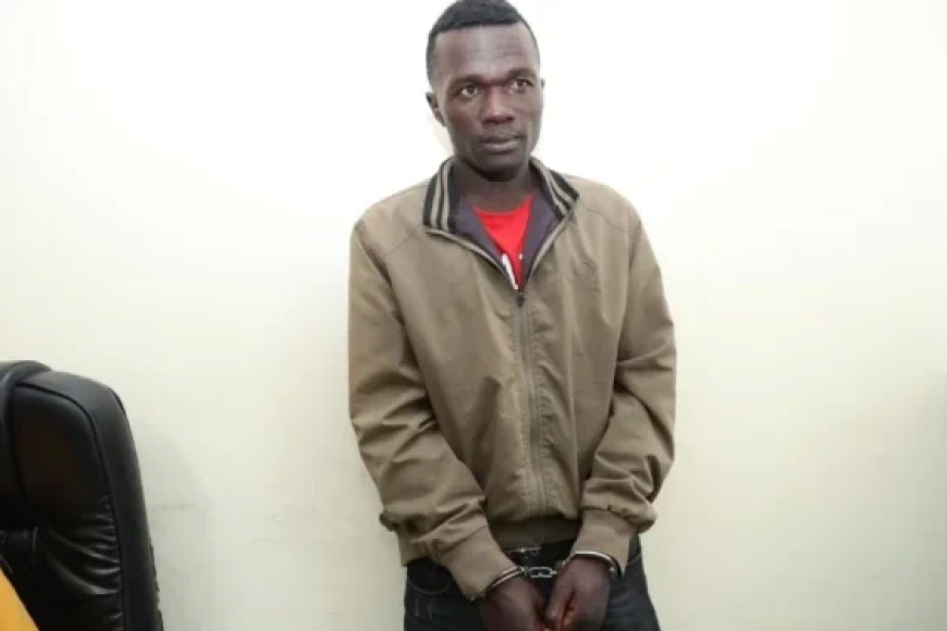 Kenya: Polisi yataye muri yombi igitaraganya umugabo wishe abagore 42 akabashyira mu mashashi