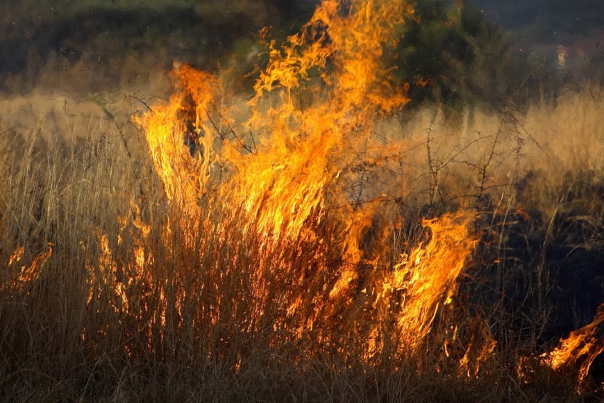 Afurika y'Epfo: Abantu batandatu nibo baguye mu nkongi y'umuriro harimo n’abateje iyo nkongi