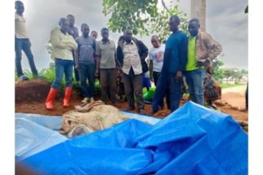 Umutwe w’iterabwoba wa ADF wishe abantu bagera kuri 20