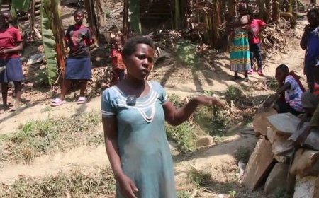 Ngororero: Igisambo kabuhariwe cyanize Gitifu w’Umurenge kimuvuna akaguru atabarwa n’abagore