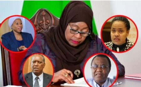 Tanzania: Perezida Samia yakoze impinduka muri Minisiteri no mubigo bitandukanye Minisitiri w'ubuzima aricazwa