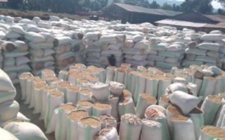 Kagame yababajwe na za Toni z’umuceri w’abahinzi b’i Rusizi waboreye mu bubiko