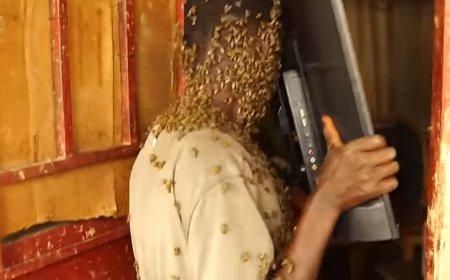 Umujura bamuteje inzuki nyuma yo kwiba televiziyo yaguzwe muri make make ayigarura atumva atabona