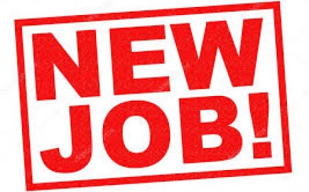 4 Job positions of Revenue Accounting Officer at Rwandair  (Deadline 18 August 2024)